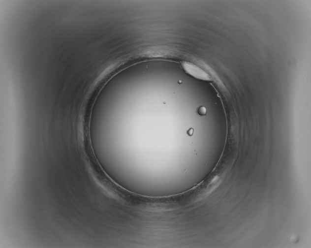 X0000111890530200907301159