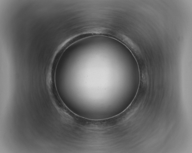 X0000111890532200907301159