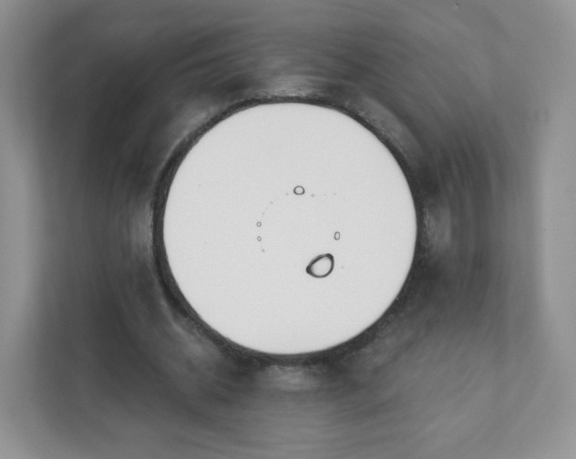 X0000111890534200907301159