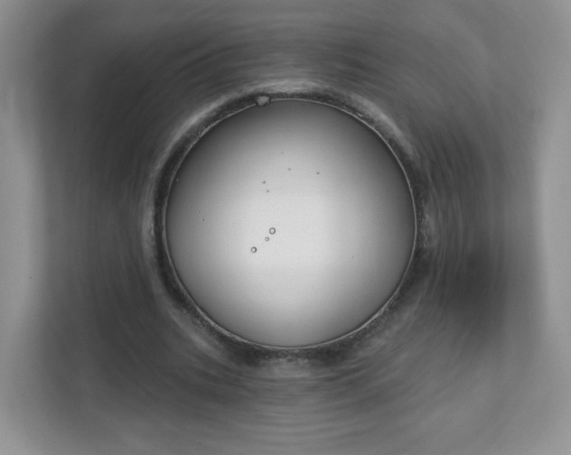 X0000111890535200907301159