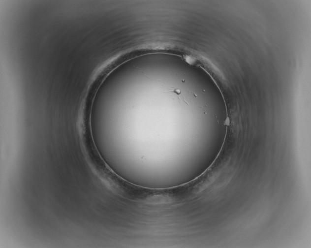 X0000111890536200907301159