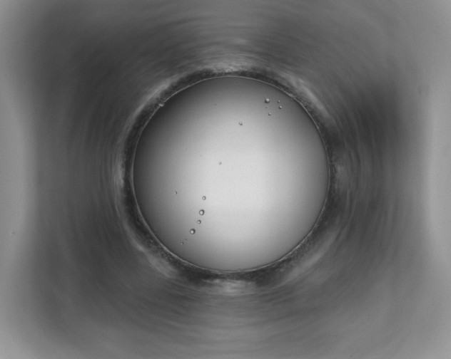 X0000111890539200907301159