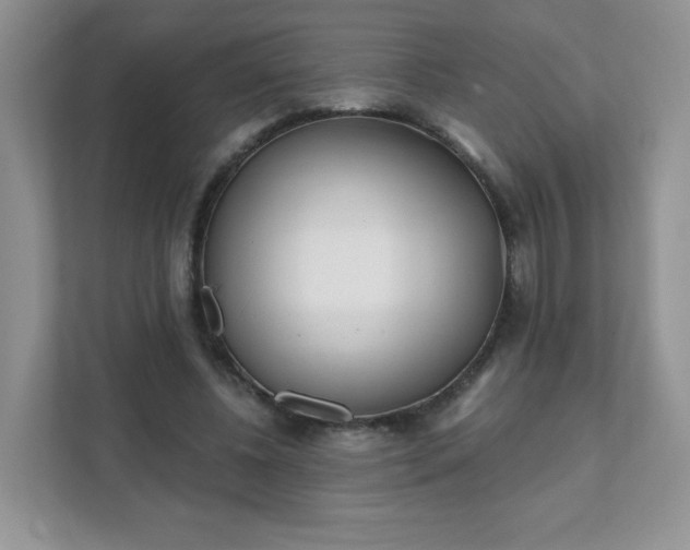 X0000111890540200907301159