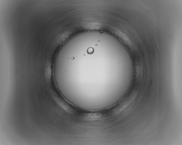 X0000111890541200907301159