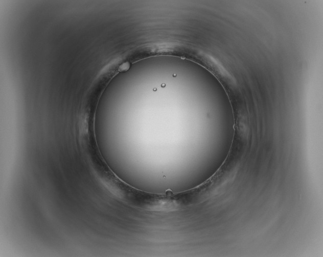 X0000111890543200907301159