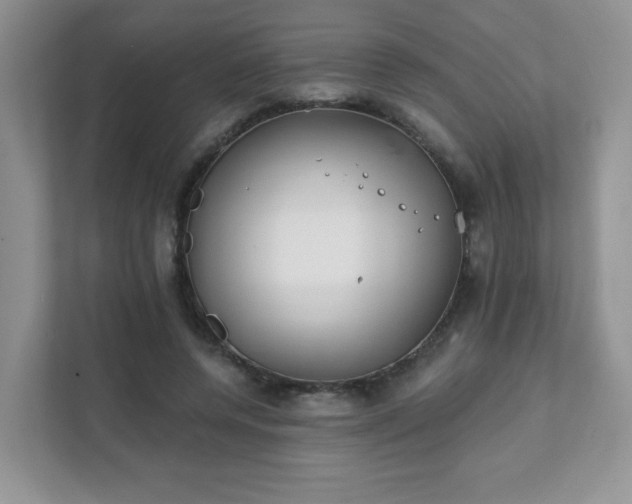 X0000111890544200907301159