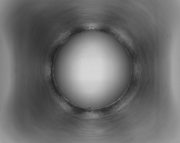 X0000111890545200907301159