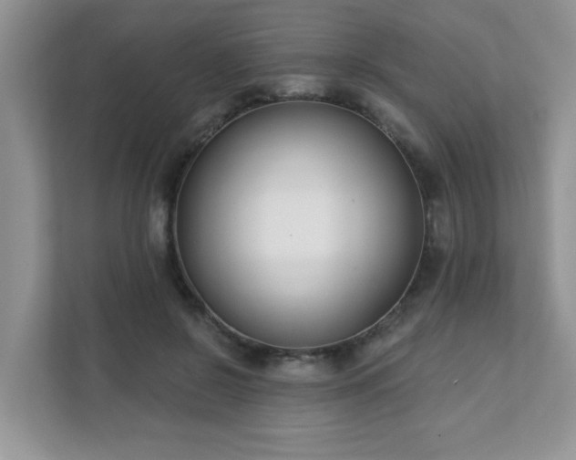 X0000111890550200907301159