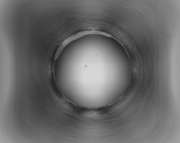 X0000111890551200907301159