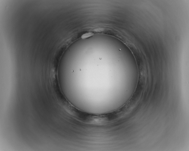 X0000111890555200907301200