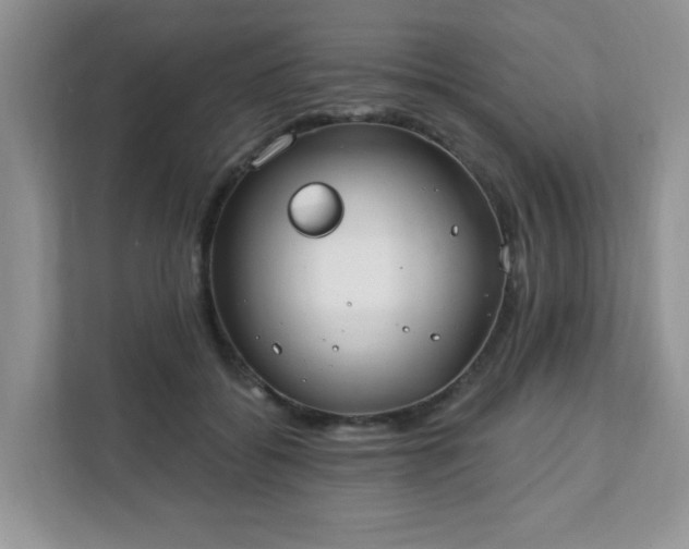 X0000111890556200907301200