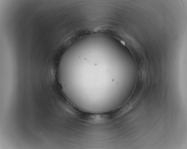 X0000111890558200907301200