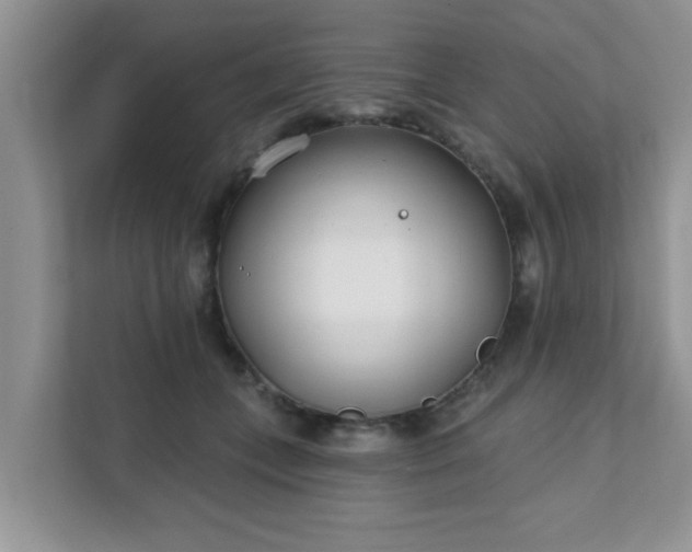 X0000111890559200907301200