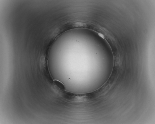 X0000111890560200907301200