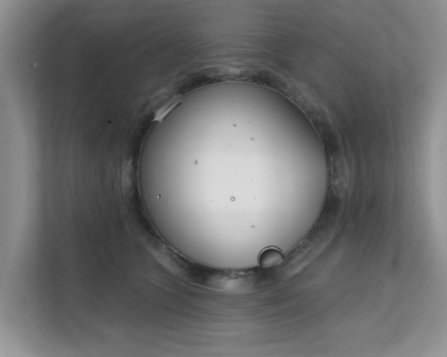 X0000111890563200907301200