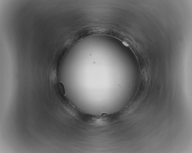 X0000111890564200907301200