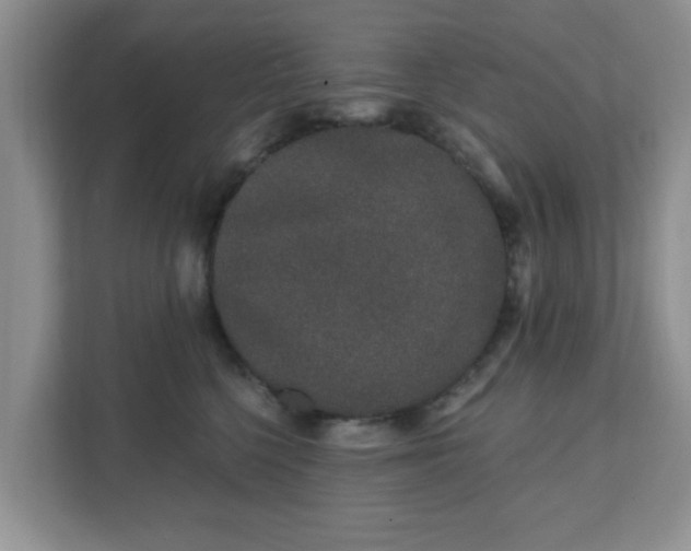 X0000111890568200907301200