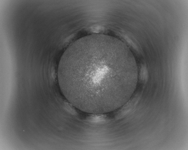 X0000111890569200907301200