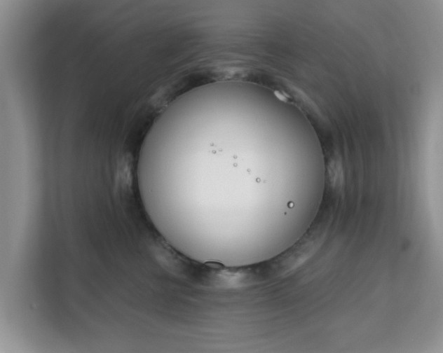 X0000111890570200907301200