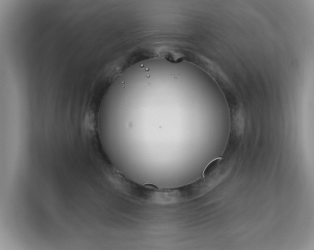 X0000111890571200907301200