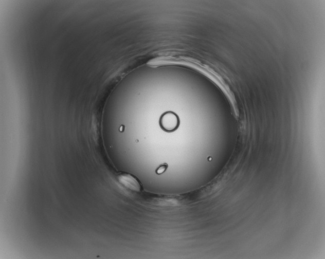 X0000111890572200907301200