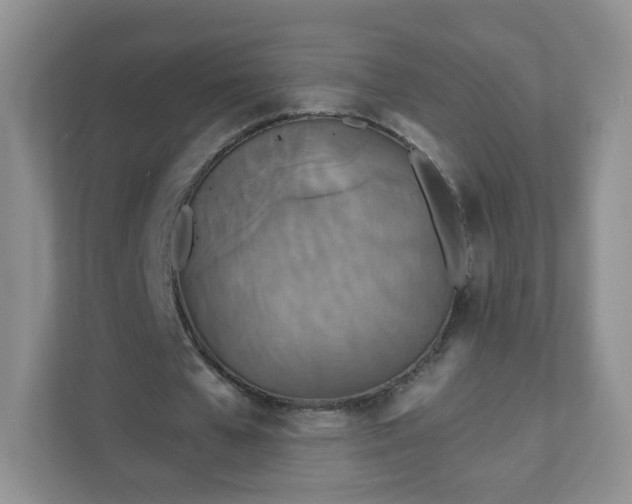 X0000111890577200907301159