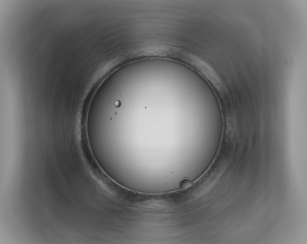 X0000111890578200907301159