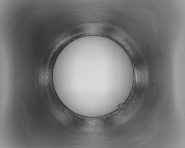 X0000111890579200907301159