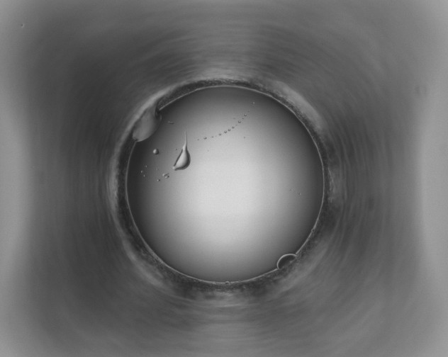 X0000111890580200907301159