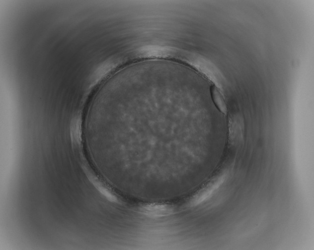 X0000111890581200907301159