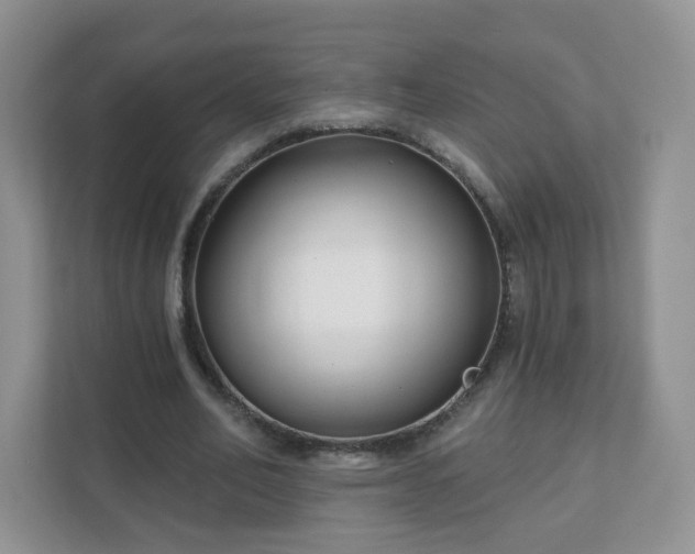 X0000111890582200907301159