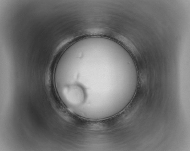 X0000111890583200907301159