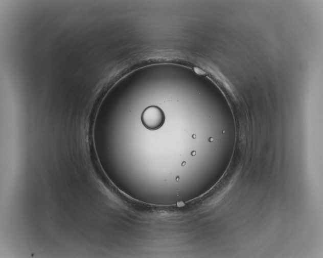 X0000111890585200907301159