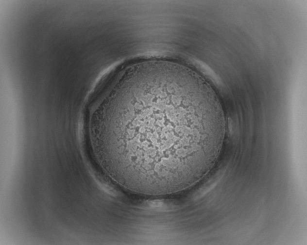 X0000111890588200907301159