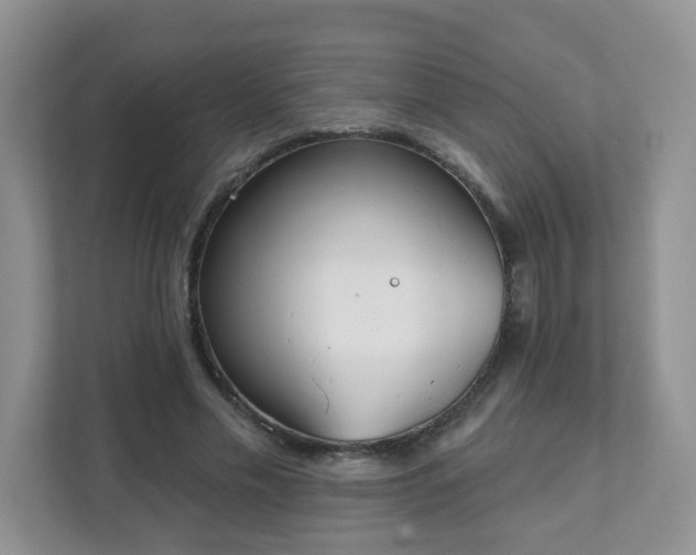 X0000111890589200907301159