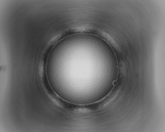 X0000111890590200907301159