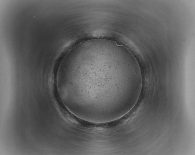 X0000111890592200907301159