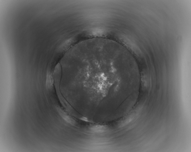 X0000111890593200907301159