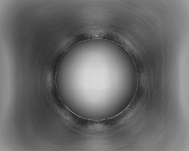 X0000111890594200907301159