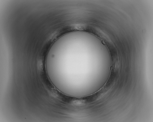 X0000111890595200907301159