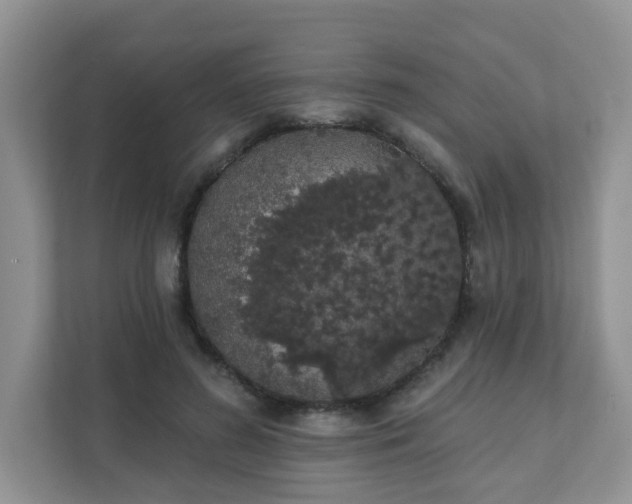 X0000111890596200907301159