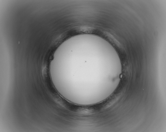 X0000111890597200907301159