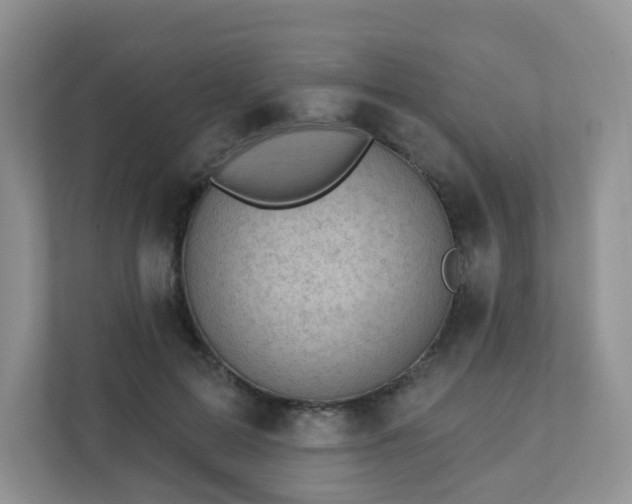 X0000111890599200907301159