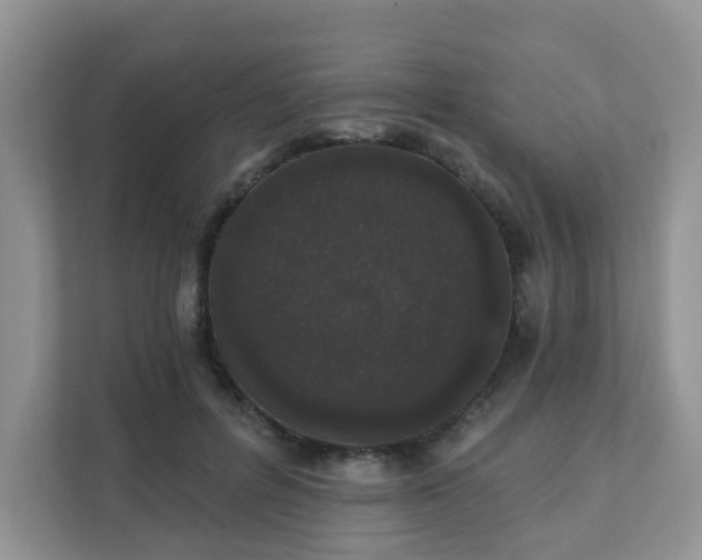 X0000111890600200907301159