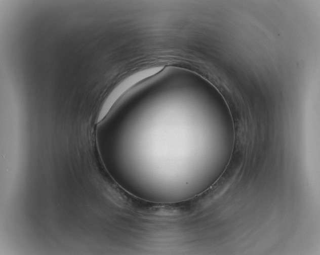 X0000111890601200907301159