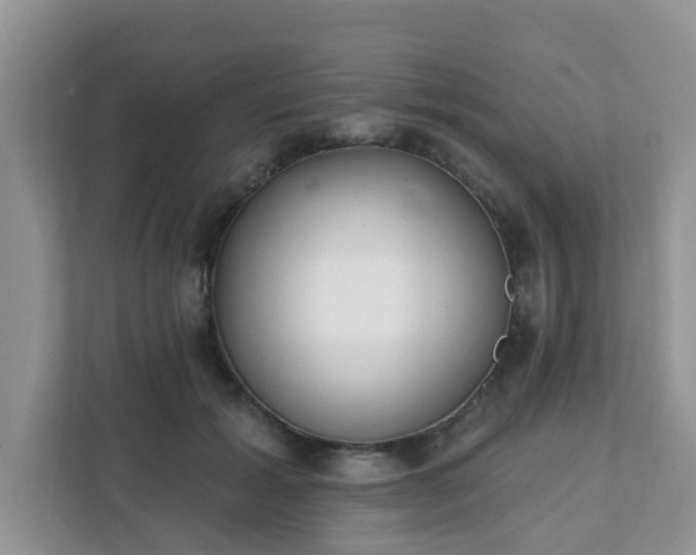 X0000111890605200907301159