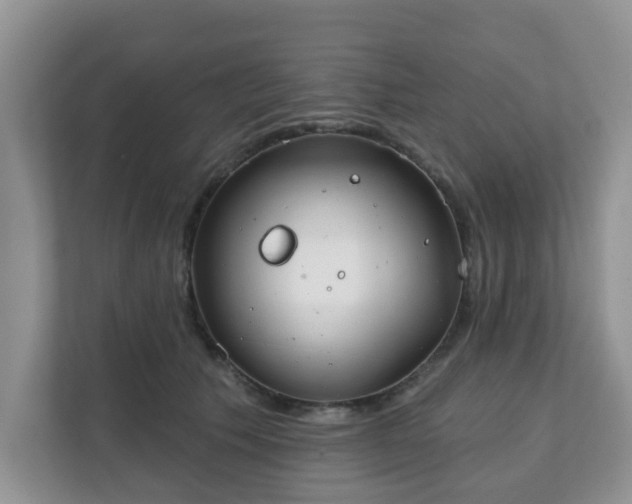 X0000111890609200907301159