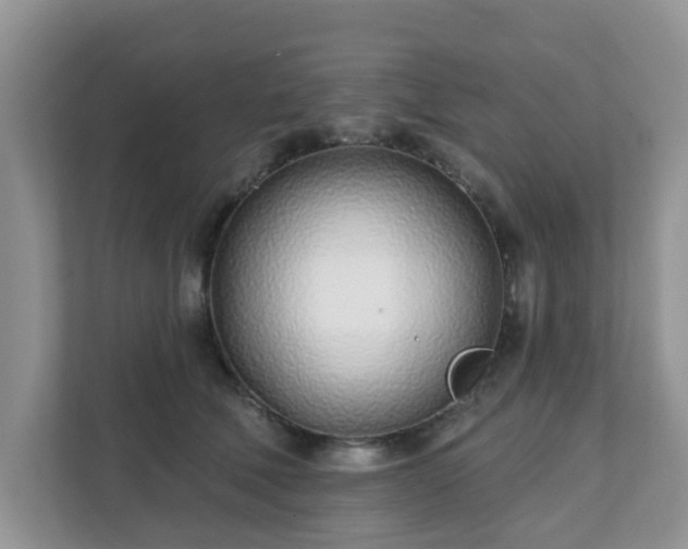 X0000111890610200907301159