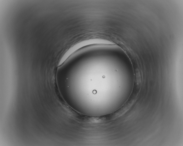 X0000111890613200907301159