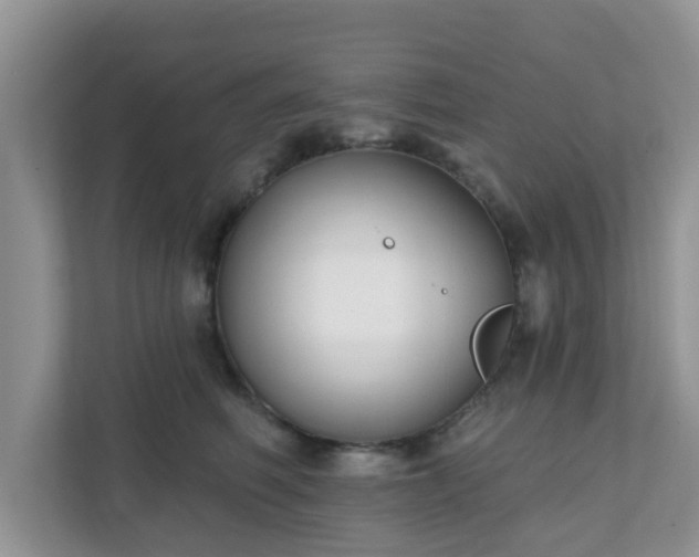 X0000111890614200907301159